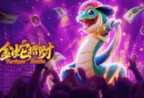 星空体彩app最新版