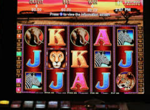 星空体彩app电脑免费版