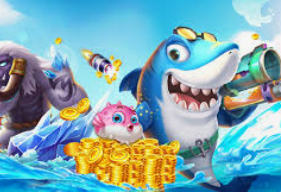 星空体彩app正式版