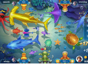 星空体彩app最新版